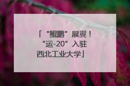 “鲲鹏”展翼！“运-20”入驻西北工业大学