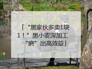 “黑家伙多卖1块1！”黑小麦深加工“磨”出高效益