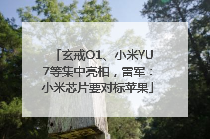玄戒O1、小米YU7等集中亮相，雷军：小米芯片要对标苹果