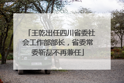 王乾出任四川省委社会工作部部长，省委常委靳磊不再兼任