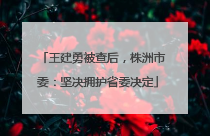 王建勇被查后，株洲市委：坚决拥护省委决定