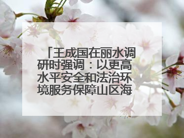 王成国在丽水调研时强调：以更高水平安全和法治环境服务保障山区海岛县高质量发展