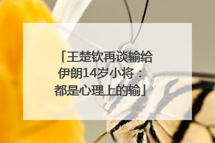 王楚钦再谈输给伊朗14岁小将：都是心理上的输