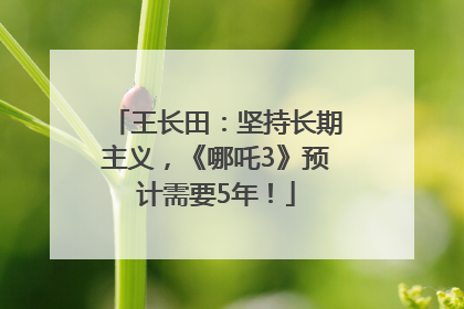 王长田：坚持长期主义，《哪吒3》预计需要5年！