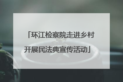 环江检察院走进乡村开展民法典宣传活动