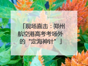 现场直击：郑州航空港高考考场外的“定海神针”