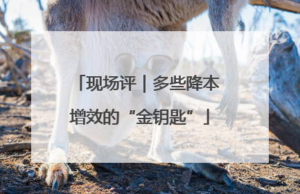 现场评｜多些降本增效的“金钥匙”