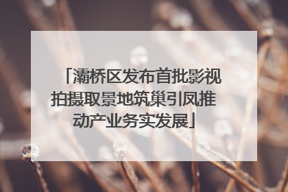 灞桥区发布首批影视拍摄取景地筑巢引凤推动产业务实发展