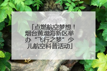 点燃航空梦想！烟台黄渤海新区举办“飞行之梦”少儿航空科普活动