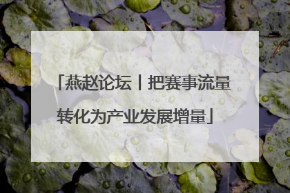燕赵论坛丨把赛事流量转化为产业发展增量
