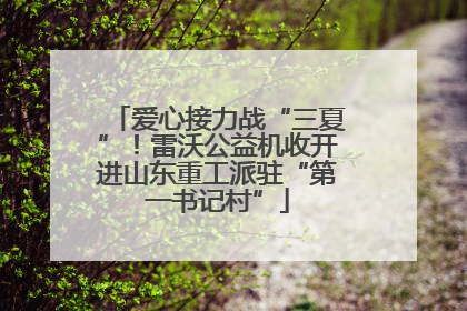 爱心接力战“三夏”！雷沃公益机收开进山东重工派驻“第一书记村”