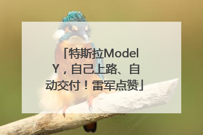 特斯拉Model Y，自己上路、自动交付！雷军点赞