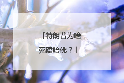 特朗普为啥死磕哈佛？