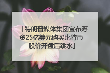 特朗普媒体集团宣布筹资25亿美元购买比特币 股价开盘后跳水