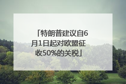 特朗普建议自6月1日起对欧盟征收50%的关税