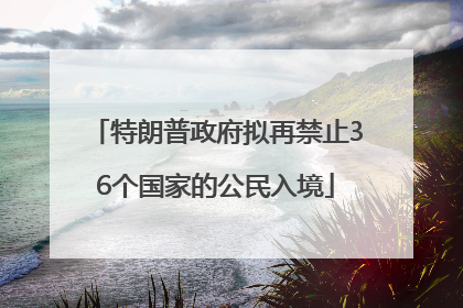 特朗普政府拟再禁止36个国家的公民入境