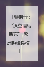 特朗普：“没空理马斯克” 欧洲抛橄榄枝