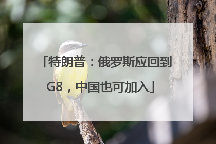 特朗普：俄罗斯应回到G8，中国也可加入