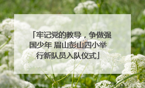 牢记党的教导，争做强国少年 眉山彭山四小举行新队员入队仪式