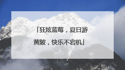 狂炫蓝莓，夏日游黄陂，快乐不宕机