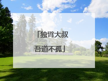 独臂大叔 吾道不孤
