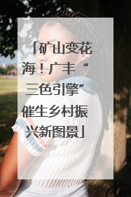 矿山变花海！广丰“三色引擎”催生乡村振兴新图景