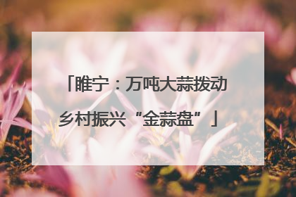 睢宁：万吨大蒜拨动乡村振兴“金蒜盘”