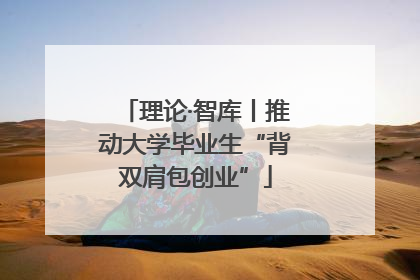 理论·智库丨推动大学毕业生“背双肩包创业”