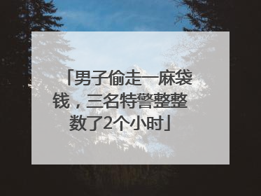 男子偷走一麻袋钱，三名特警整整数了2个小时