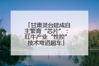 甘肃灵台建成自主繁育“芯片”：红牛产业“性控”技术弯道超车