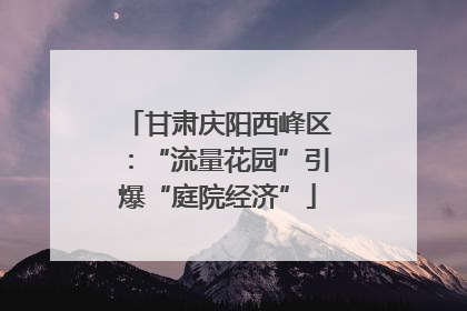 甘肃庆阳西峰区：“流量花园”引爆“庭院经济”
