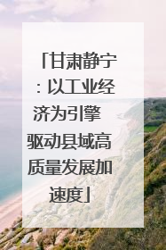 甘肃静宁：以工业经济为引擎 驱动县域高质量发展加速度