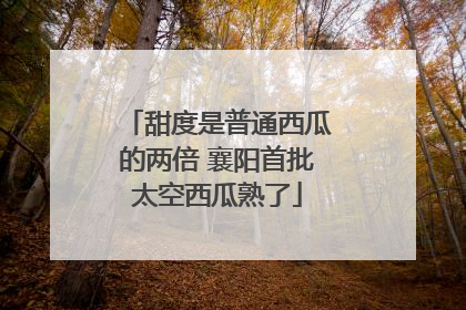 甜度是普通西瓜的两倍 襄阳首批太空西瓜熟了