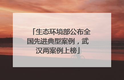 生态环境部公布全国先进典型案例，武汉两案例上榜