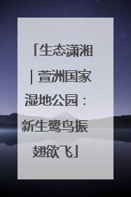 生态潇湘｜萱洲国家湿地公园：新生鹭鸟振翅欲飞