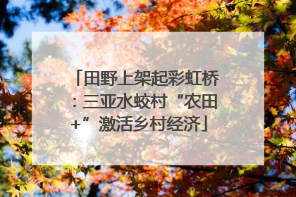 田野上架起彩虹桥：三亚水蛟村“农田+”激活乡村经济