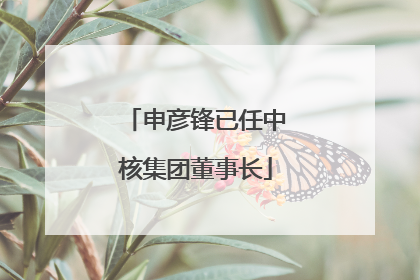 申彦锋已任中核集团董事长