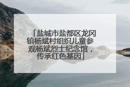 盐城市盐都区龙冈镇杨斌村组织儿童参观杨斌烈士纪念馆，传承红色基因