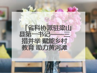 省科协派驻梁山县第一书记——三措并举 赋能乡村教育 助力黄河滩娃健康成长