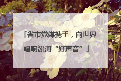 省市党媒携手，向世界唱响漯河“好声音”