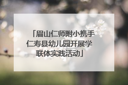 眉山仁师附小携手仁寿县幼儿园开展学联体实践活动