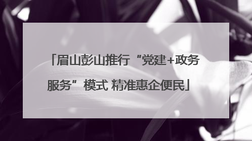 眉山彭山推行“党建+政务服务”模式 精准惠企便民