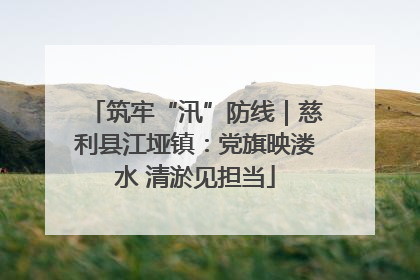 筑牢“汛”防线｜慈利县江垭镇：党旗映溇水 清淤见担当