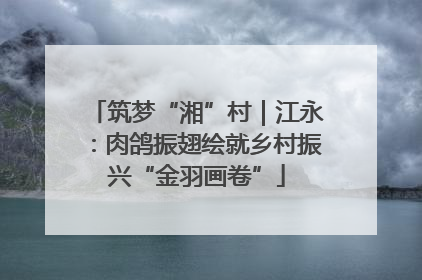 筑梦“湘”村｜江永：肉鸽振翅绘就乡村振兴“金羽画卷”