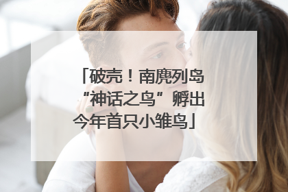 破壳！南麂列岛“神话之鸟”孵出今年首只小雏鸟