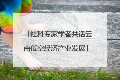 社科专家学者共话云南低空经济产业发展