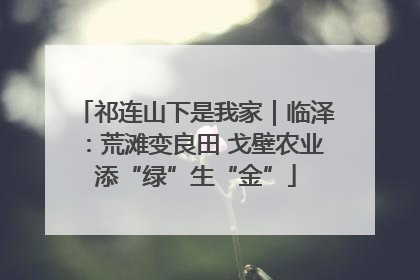 祁连山下是我家｜临泽：荒滩变良田 戈壁农业添“绿”生“金”