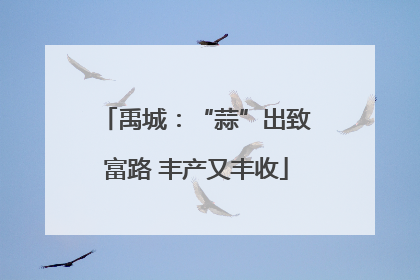 禹城：“蒜”出致富路 丰产又丰收
