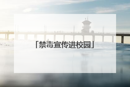 禁毒宣传进校园