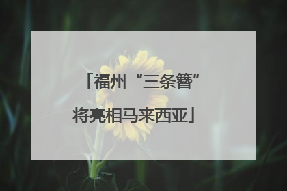 福州“三条簪”将亮相马来西亚